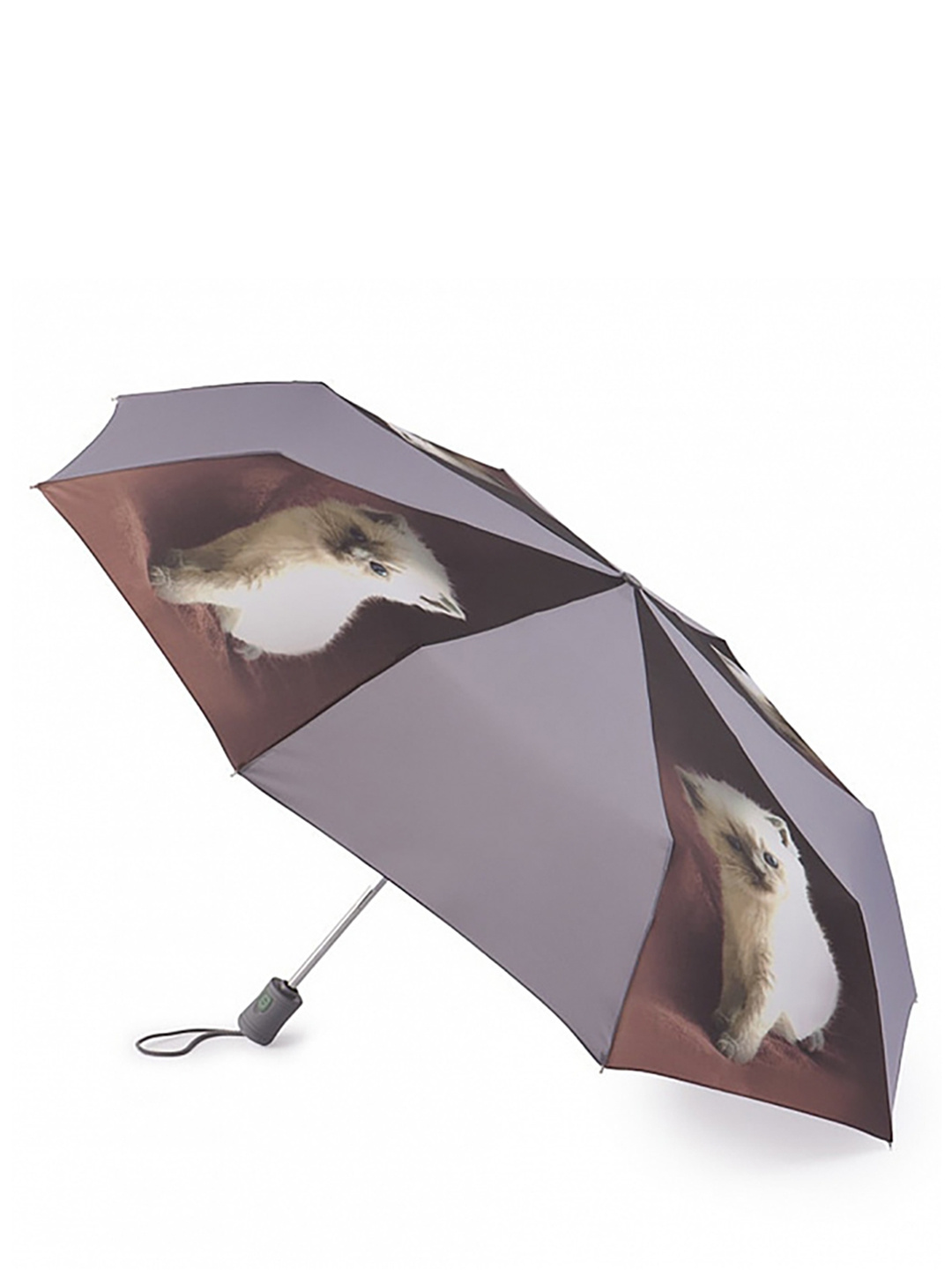 Фото Женский зонт-автомат с изображением котенка 